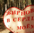 В канун Дня народного единства пройдет Всероссийская просветительская акция «Большой этнографический диктант» - ЖирнОе.RU